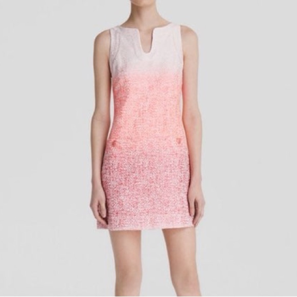 Cynthia Steffe Ombré Dress